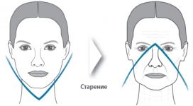 Возрастные изменения объёма и пропорций лица